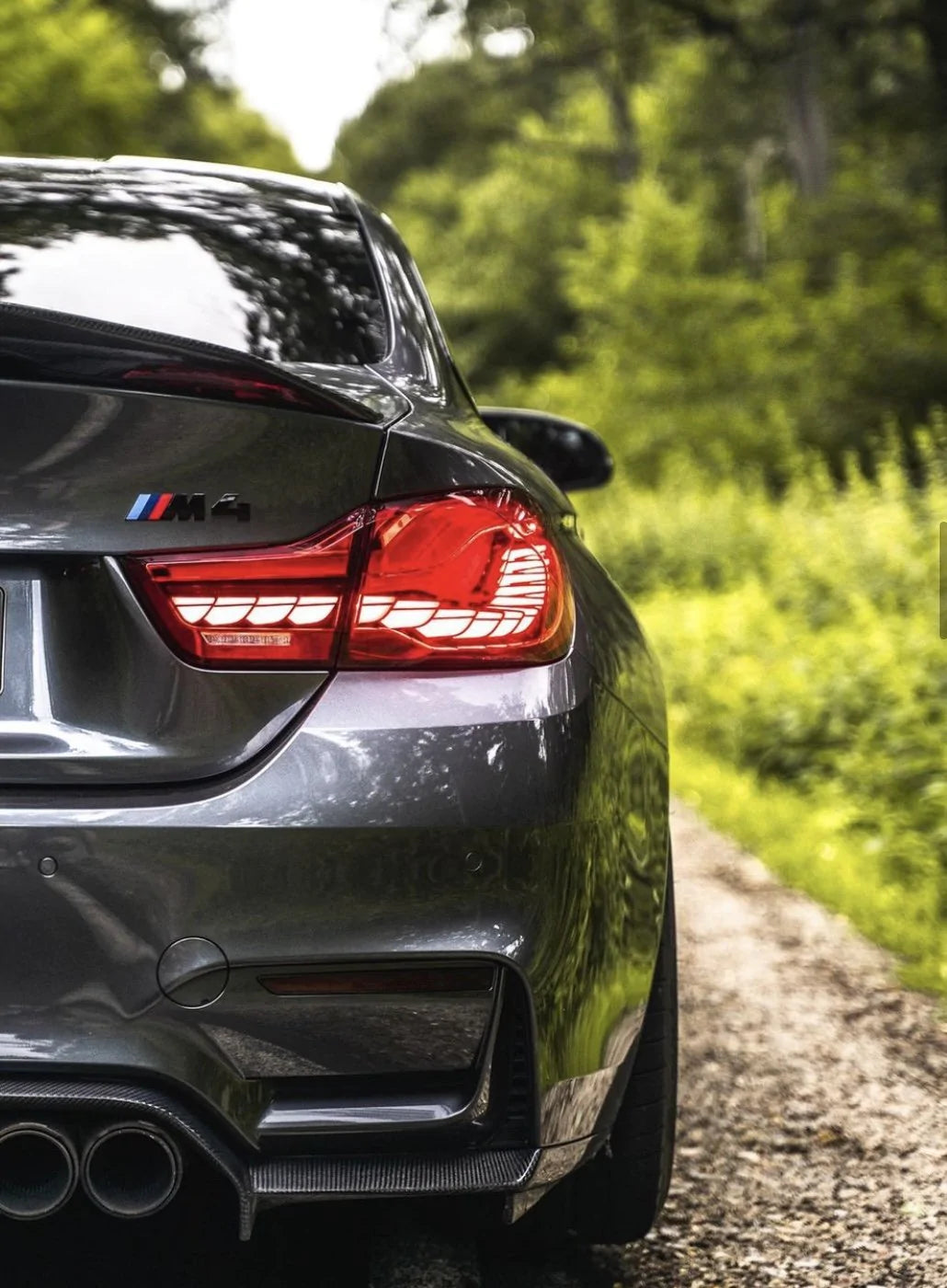 BMW F32 GTS OLED STRAŽNJA SVIJETLA