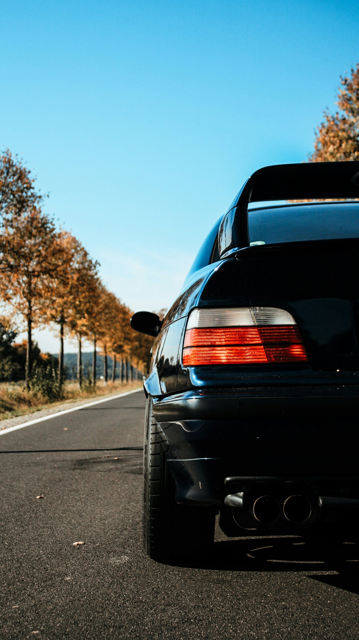 E36