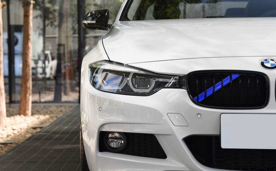 BMW V BRACE PLASTIČNI UKRAS U BOJI